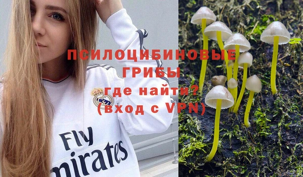 альфа пвп Осинники