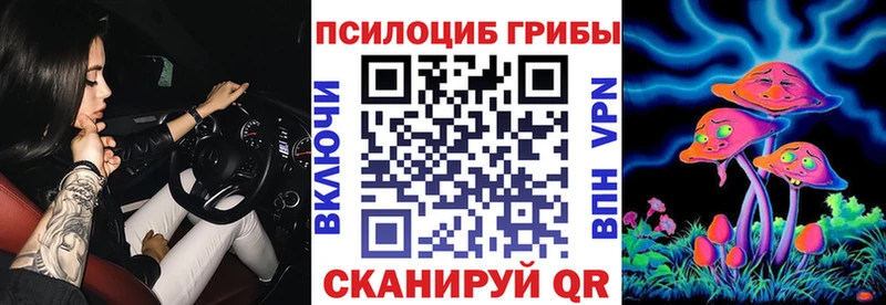 Галлюциногенные грибы ЛСД  Купить закладки  Каменка 